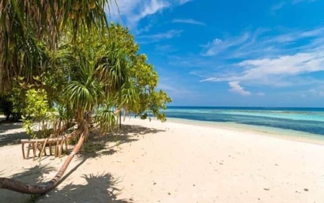 Beach Cottage