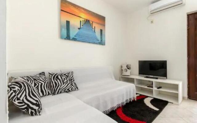 Apartment Roko