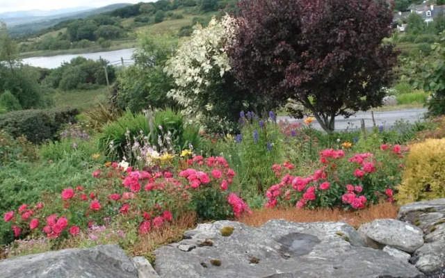 Rockville Bed & Breakfast