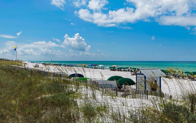 The Dunes of Seagrove