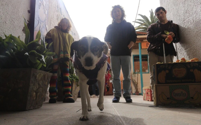 Aji Verde Hostel
