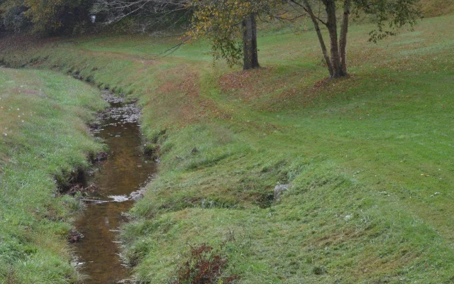 Country Road House and Berries