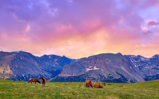 Nakai Peak 41b 2 Bedroom Condo by RedAwning