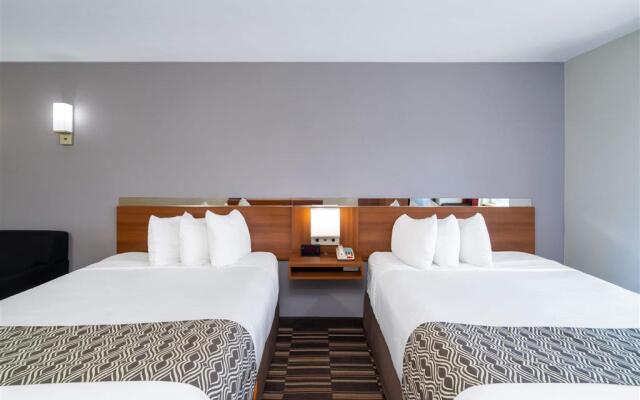 Microtel Savannah Pooler