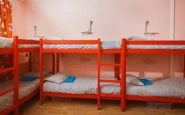 Kangaroo hostel