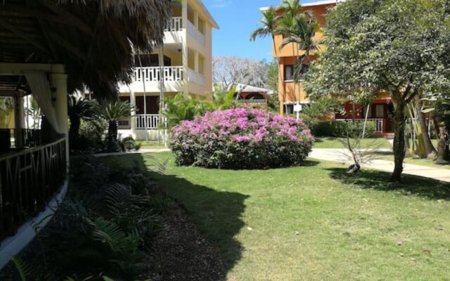 "room in Apartment - Delightful Caribbean Apartment in Boca Chica"