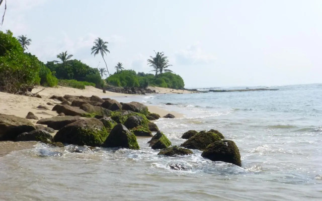 Bougain Villa Sea View
