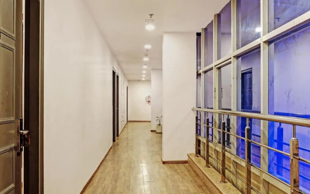 Collection O 70363 Banana Leaves