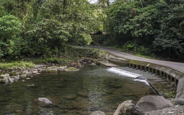 Tapirus Lodge