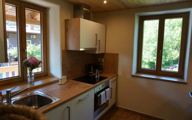 ecoHouse FURLAN - Apartment PINJA