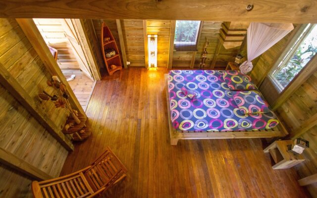 Au Jardin Des Colibris Ecolodge&Spa