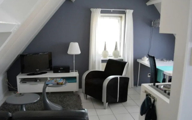 Wonderful and Spacious Apartment