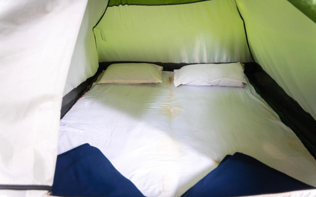 Dandeli Tiger Cottages