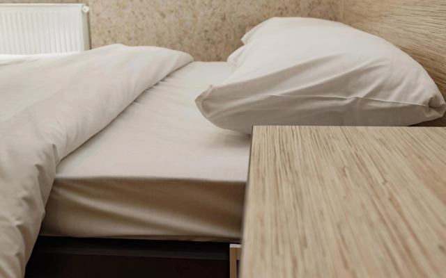 Transitional Havryky Apartment