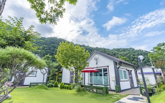 White Pension in Forest