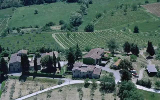 Masseto In Chianti