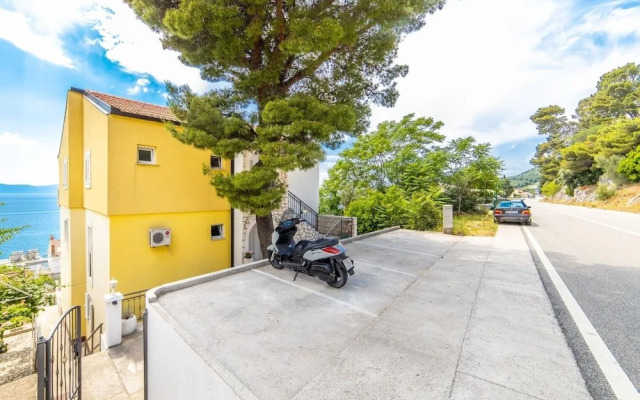 More - 60m From the sea - A4 Dino