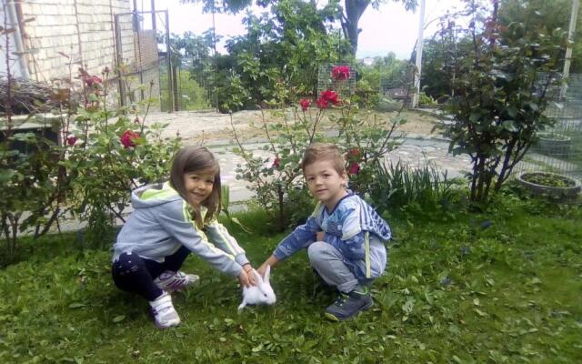 Family Hotel In Nukriani , 2km from Sighnaghi