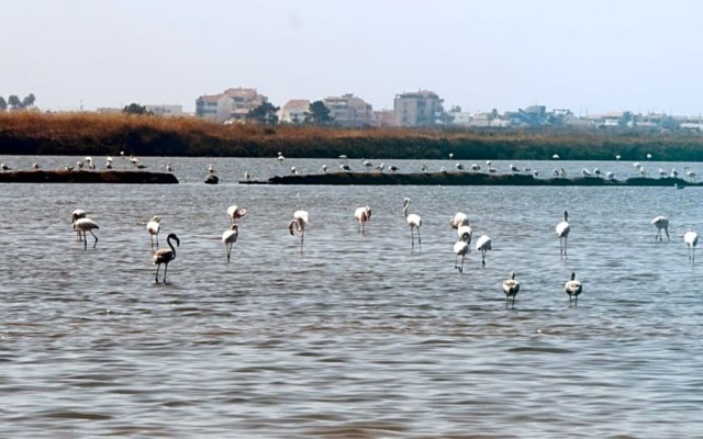 Pine House - Faro Airport Beach And City Center