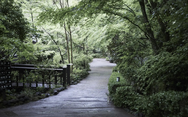 Kurokawa Onsen Okunoyu