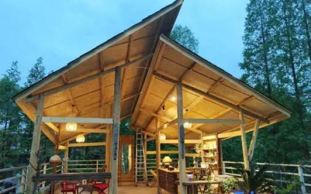 Yingying's yard