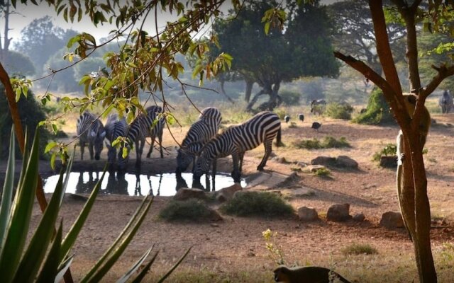 Maralal Safari Lodge & Wildlife Reserve