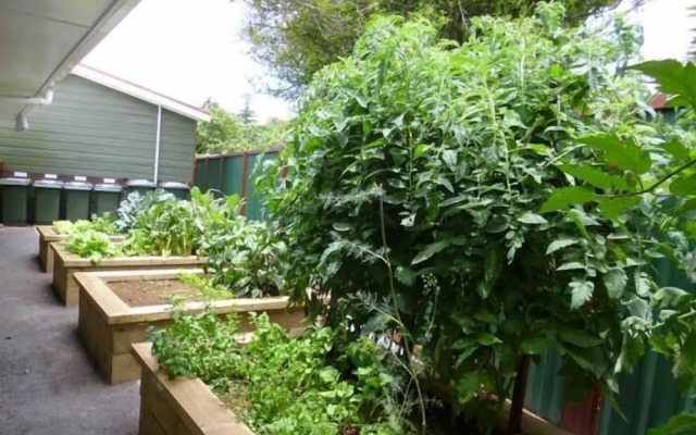 Shiralee Executive Cottages