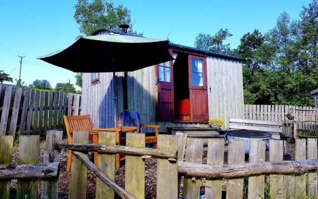Eco Accommodation Cornflower Holiday