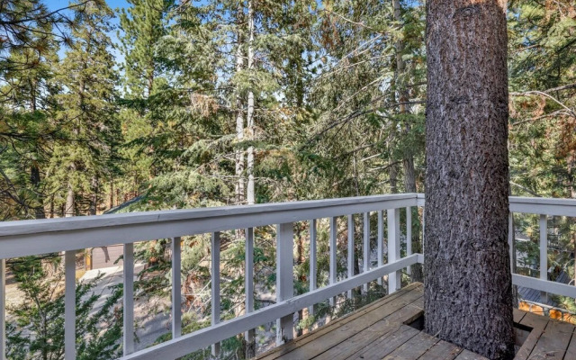 Tree TOP Views #2060