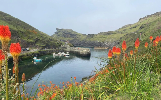 Coastal Haven