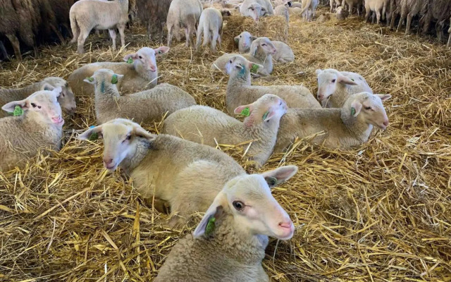 Zonnebos, private garden, fresh air, relax!