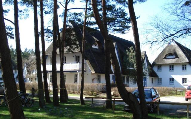 Zingst Achtern Diek 12d Elly