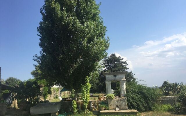 Casino Vigneri