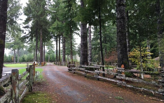 Hoh Rainforest Resort