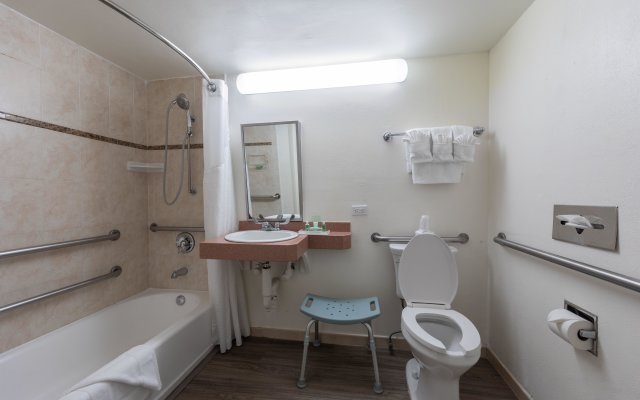 Holiday Inn Port of Miami - Downtown by IHG