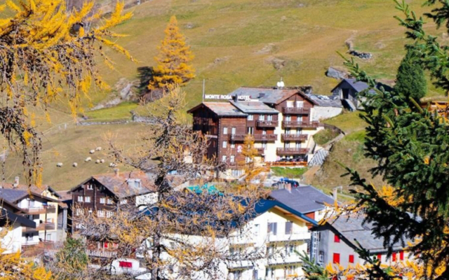 Monte Rosa 22210
