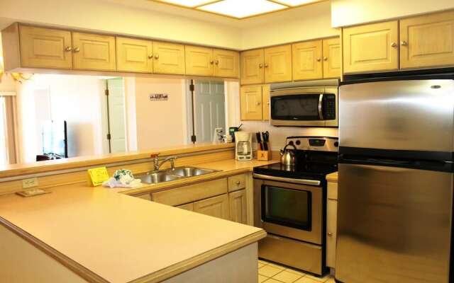 Beach Palms 505
