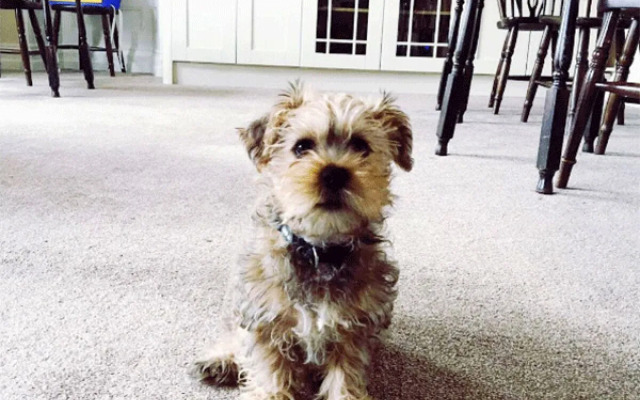 Brantholme Guest House