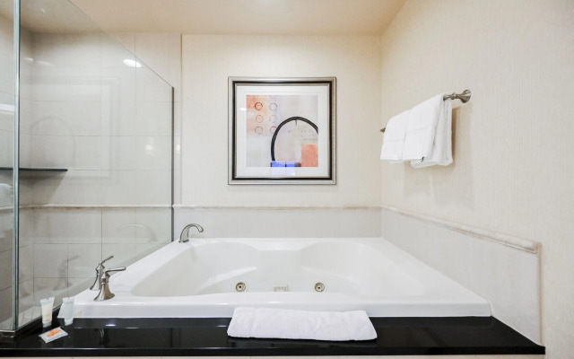 StripViewSuites at Signature