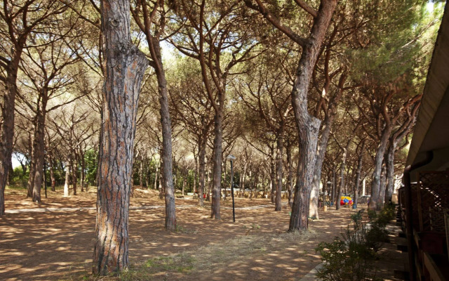 Villaggio Golfo degli Etruschi