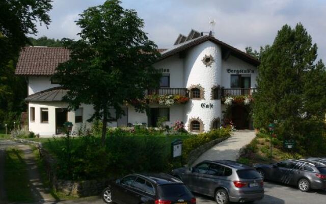 Pension Bergstubn