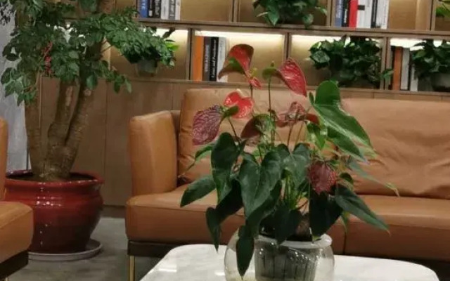 Shangli County Township Boutique Hotel