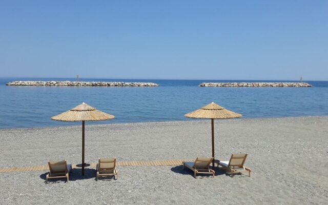 Cozy Home close to old Port Sea Front & Parking