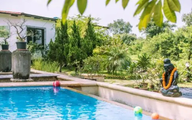 Tooth Mountain Farms