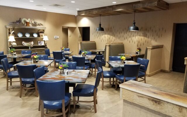 Holiday Inn Asheville East-Blue Ridge PKWY by IHG