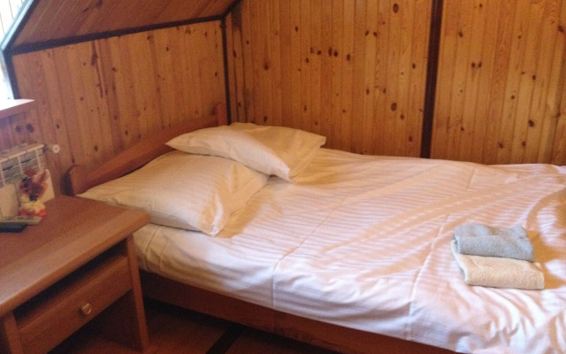 Palac w Czyzowie szlacheckim