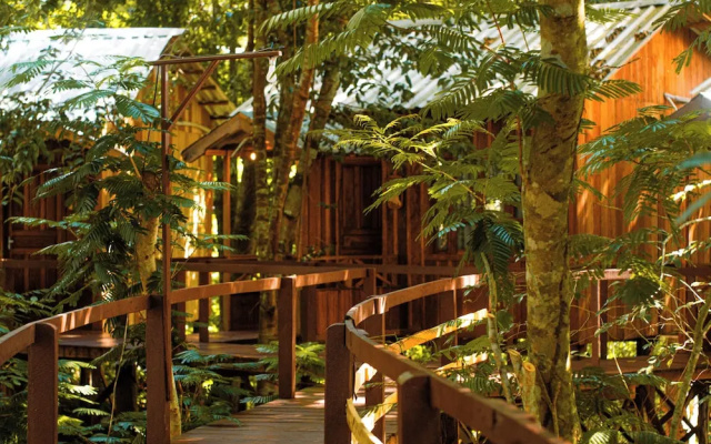 Vista do Lago Jungle Lodge