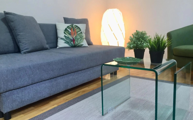 Catedral Centro Histórico