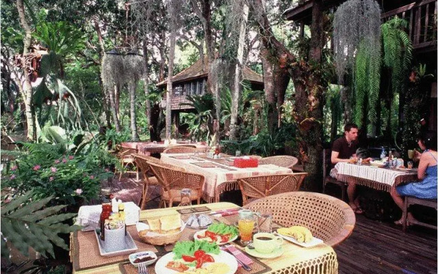 Fern Paradise