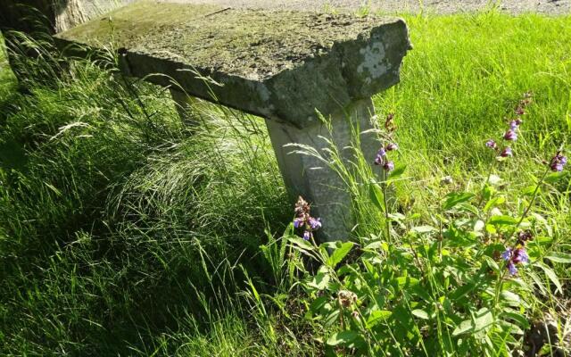 Alte Scheune Rietzschelhof